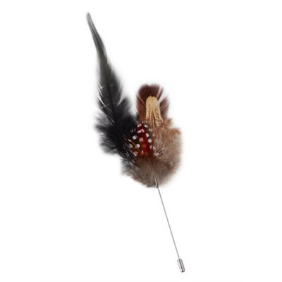 Multi coloured feather pin